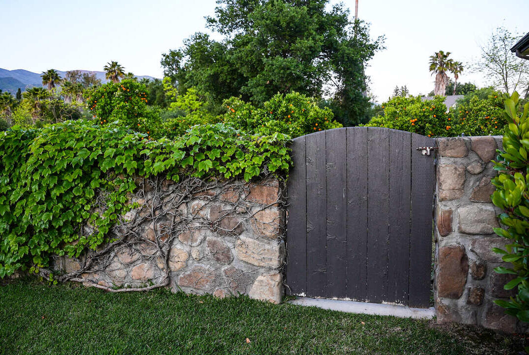 Stone wall with vines and wooden gate for access to the citrus orchards